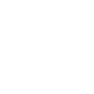 Zoic