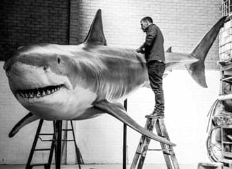 Bringing Sharks To Life With The BigRep ONE