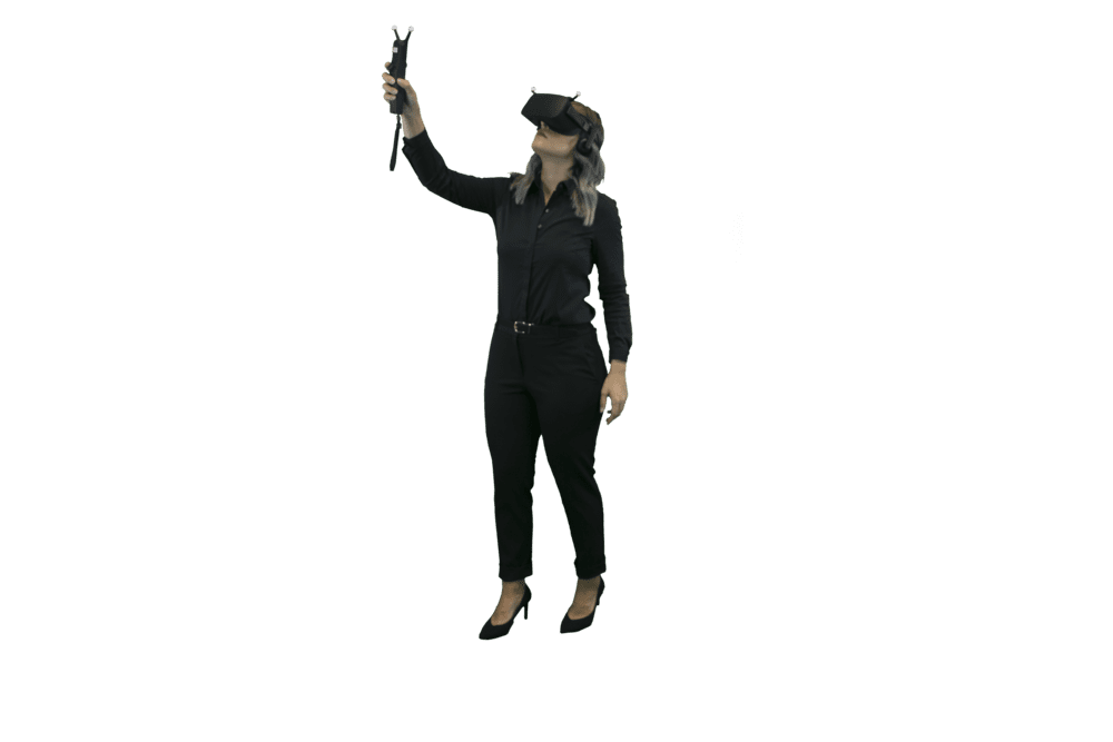 VizMove Standing VR